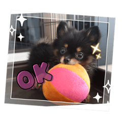 Ruarua_20251123171857