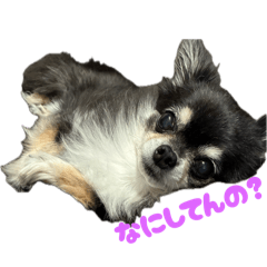 tomas_20251123193009