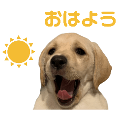 Haruka_20251123215359