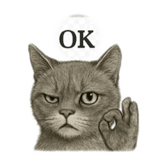 A cat that is somehow hard to hate