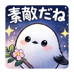 Birds in the stars