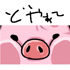 chihiro_20251122125855