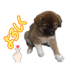 Betty_20251122131556