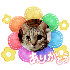 nonomama_20251123170153