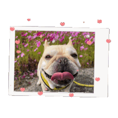 taakun_20251123210632