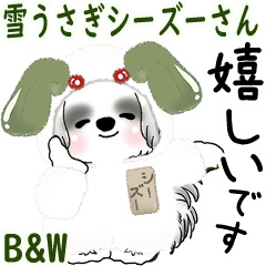 B&Wの動くシーズー犬 2025 「雪うさぎ」