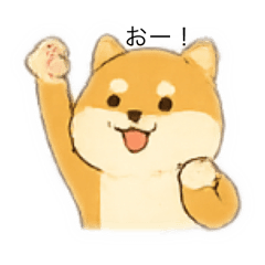 HASHIMOTO YURI_20251122180739