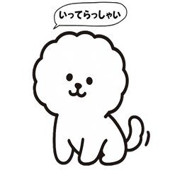 ビションのモフモフタイム♪