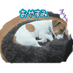 Shizuku_20251123204404