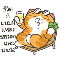 Lan Lan Cat: So Chill