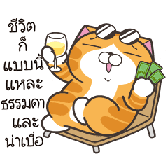 เหมียวซ่า : วันชิลๆ