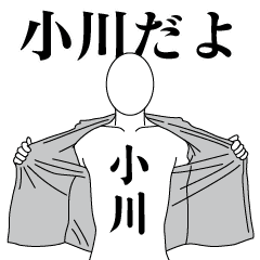 OGAWA REVOLUTION 2