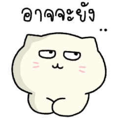 เหมียวดาด้า (2)