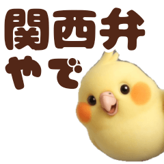 Kansai dialect cockatiel conversation
