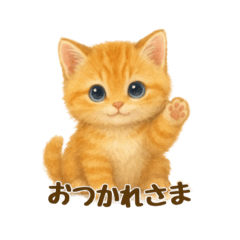 Fluffy Ginger Kitten Stickers