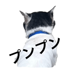 Emily_20251122230023