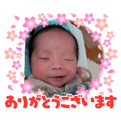 TAKERU_20251124000646