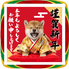 【BIG】年末年始&日常で使える♡柴犬2026