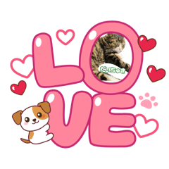 kaiware_20251123092438