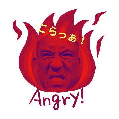 shuji_20251124111747