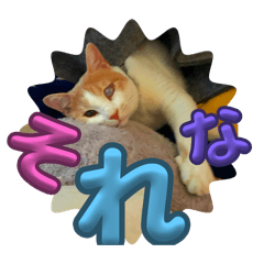 omochi_20251123231156