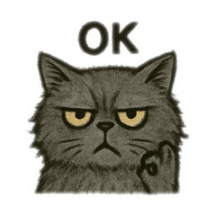 Unsociable bilingual cat