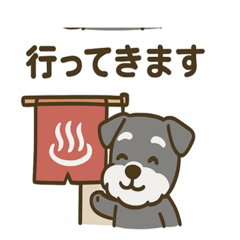 Schnauzer Cozy Onsen Manners