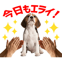 Beagle Daily Caring Stickers