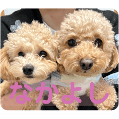 rinko_20251123202435