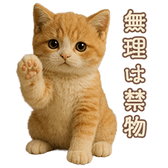 Plush Ginger & White Kitty Care Stickers