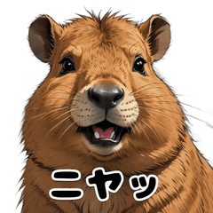 Chill Capybara Daily Stickers 2