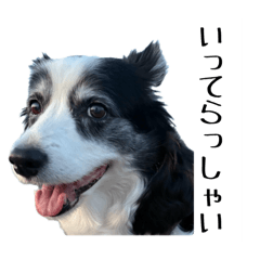suzu_20251123230601