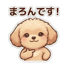 kamekichi_20251123231748