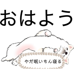 sugar_20251124053433