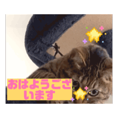 Arisa_20251124120745