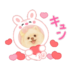 shushu_20251124124428