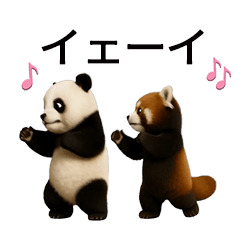 動く！パンダとレッサーパンダBABY