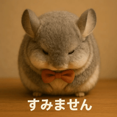 Fluffy Chinchilla Daily Stickers