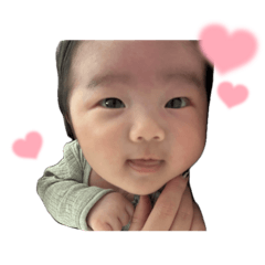 Hikari_20251123234253