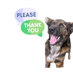 Goose_20251123232513