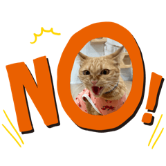 Lucky Cat_20251124002959