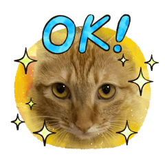 我的貓咪～我愛貓咪～還愛我