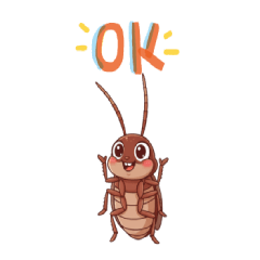 cutee cockroach