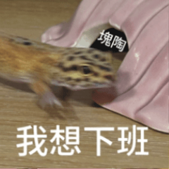 守宮餅乾：我想下班