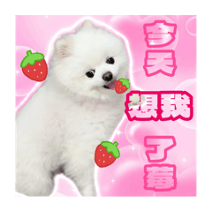 世界上不能沒有歐糖