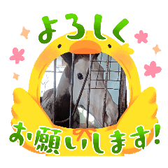 yukorin_20251123193155