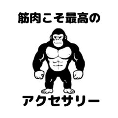 skybule24hour_20251123183856