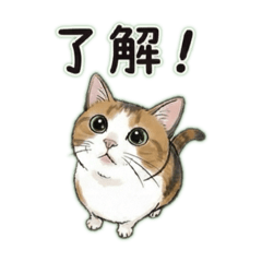 Yukari_20251124130259