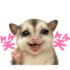 ayame_20251125011122