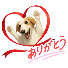 ayame_20251125011247